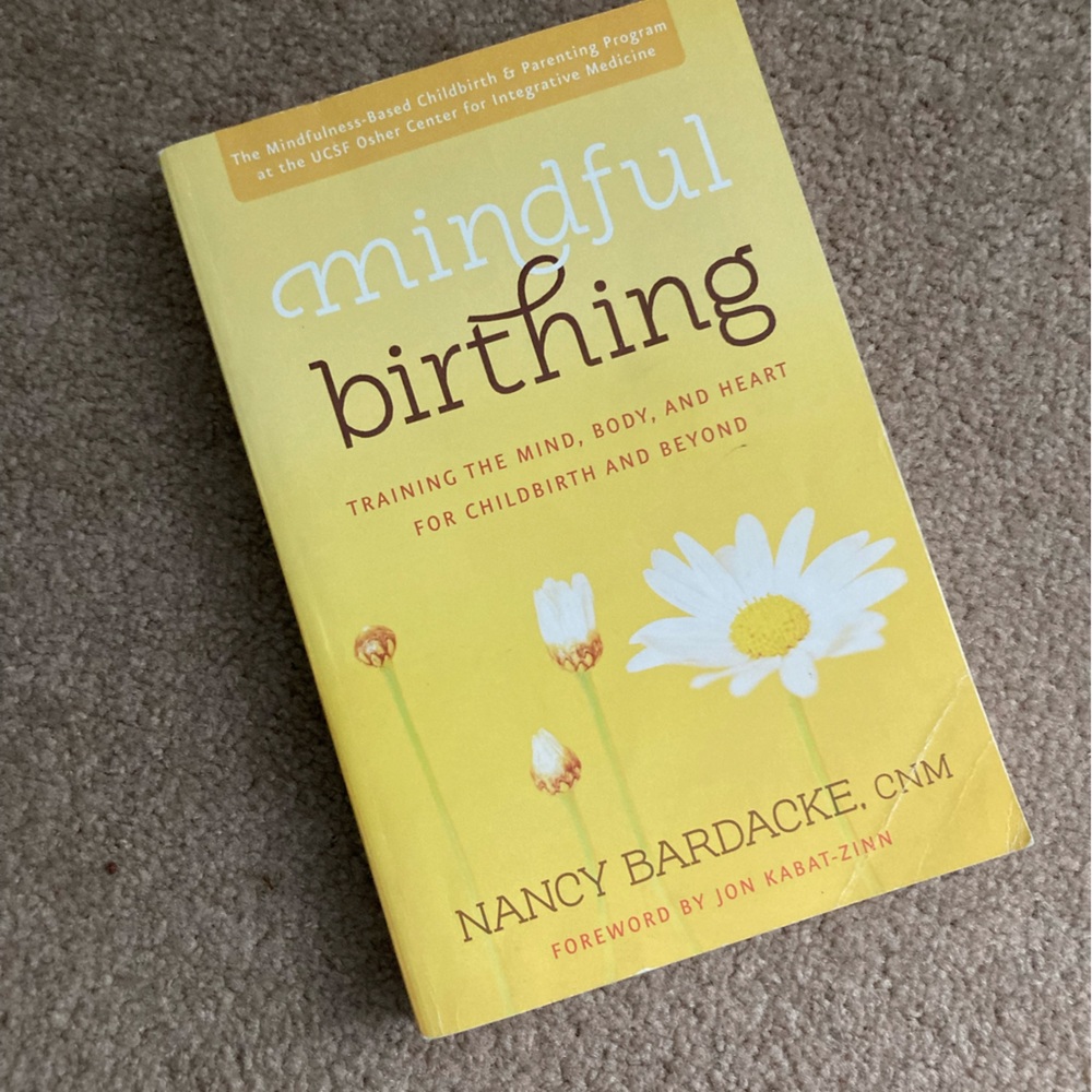 Mindful Birthing Book by Nancy Bardacke